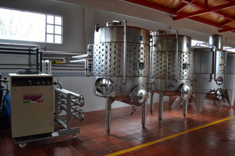 cave-ST DALMAS LE SELVAGE-min_wine_production_cantine_winery_drink_alcohol_vine_beverage-902036